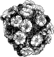 CGA50518.TIF