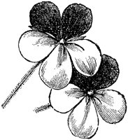 CGA50512.TIF