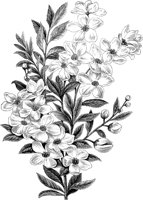 CGA50511.TIF