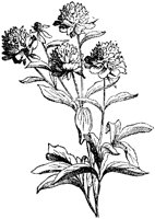 CGA50496.TIF