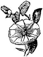CGA50493.TIF