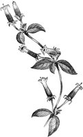 CGA50492.TIF
