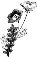 CGA50491.TIF