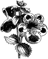 CGA50485.TIF