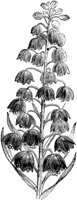 CGA50481.TIF