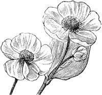 CGA50480.TIF