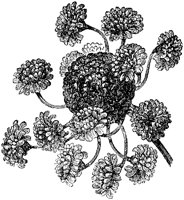 CGA50478.TIF