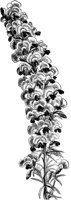 CGA50476.TIF