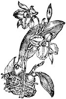 CGA50475.TIF