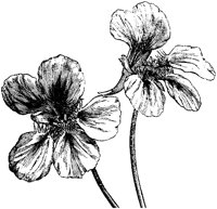CGA50472.TIF