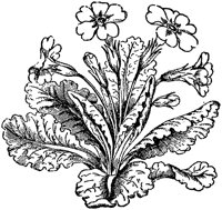 CGA50470.TIF
