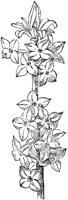 CGA50452.TIF