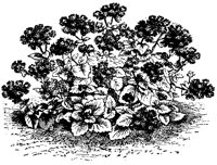 CGA50448.TIF