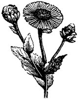 CGA50433.TIF