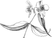 CGA50427.TIF