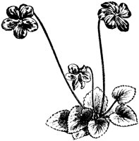 CGA50426.TIF