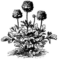 CGA50423.TIF