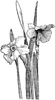 CGA50422.TIF