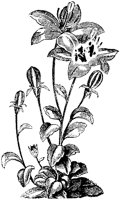 CGA50421.TIF