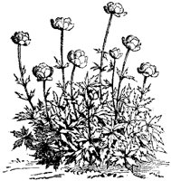 CGA50419.TIF