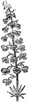 CGA50418.TIF