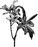 CGA50413.TIF