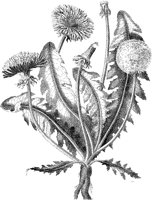 CGA50412.TIF