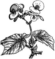 CGA50410.TIF