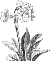 CGA50409.TIF