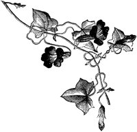 CGA50407.TIF