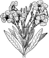 CGA50405.TIF