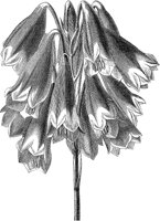 CGA50398.TIF