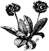 CGA50397.TIF