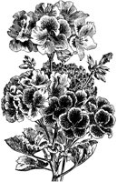 CGA50396.TIF