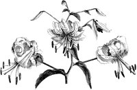 CGA50395.TIF