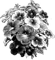 CGA50394.TIF