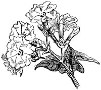 CGA50389.TIF