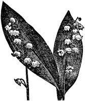 CGA50379.TIF