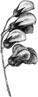 CGA50376.TIF