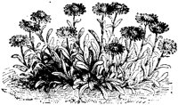 CGA50373.TIF
