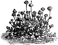 CGA50371.TIF