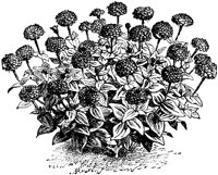 CGA50370.TIF