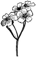 CGA50363.TIF