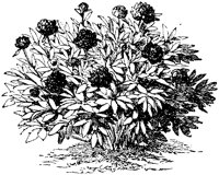 CGA50362.TIF