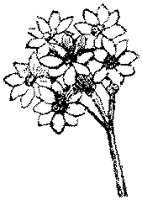 CGA50360.TIF
