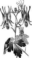 CGA50359.TIF