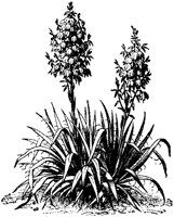 CGA50357.TIF