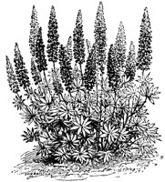 CGA50354.TIF
