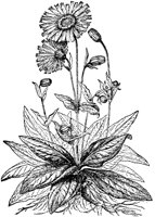 CGA50353.TIF