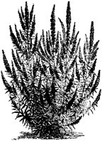 CGA50349.TIF
